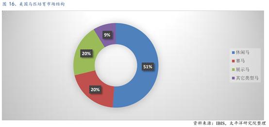 体育行业报告,体育赛马项目介绍