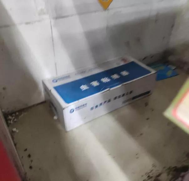 食品公司鼠害防治的有效方法,超市防鼠虫害防治方案