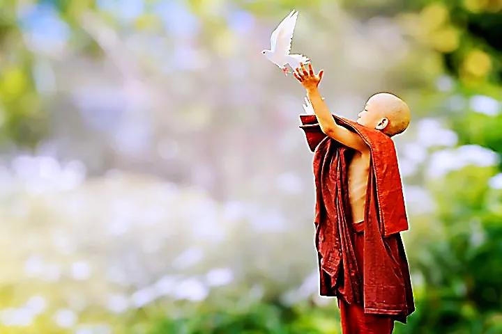 前世今生是否可以轮回,前世今生还可以怎样描述