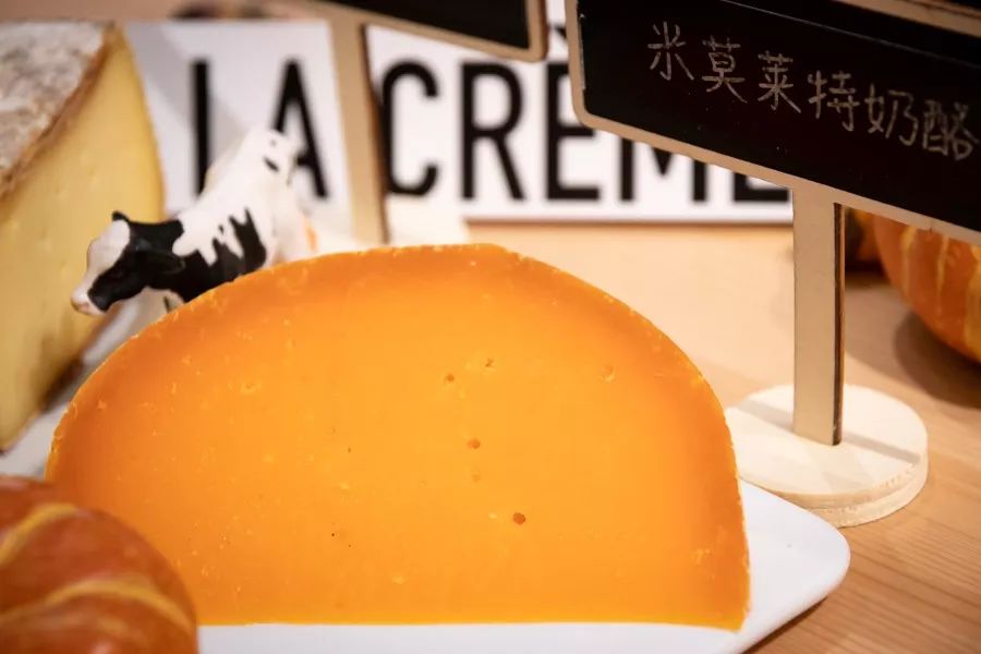 盘点法国全部奶酪,法国最重口味的奶酪