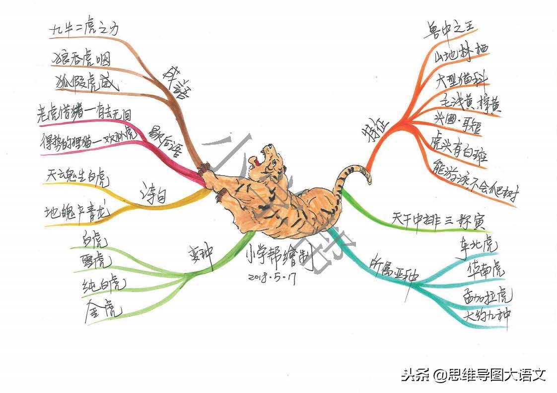思维导图十二生肖文化知识,十二生肖思维导图并标上动物单词