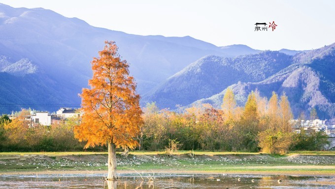 「徽州冷」宏村秋深晴少，友谊地久天