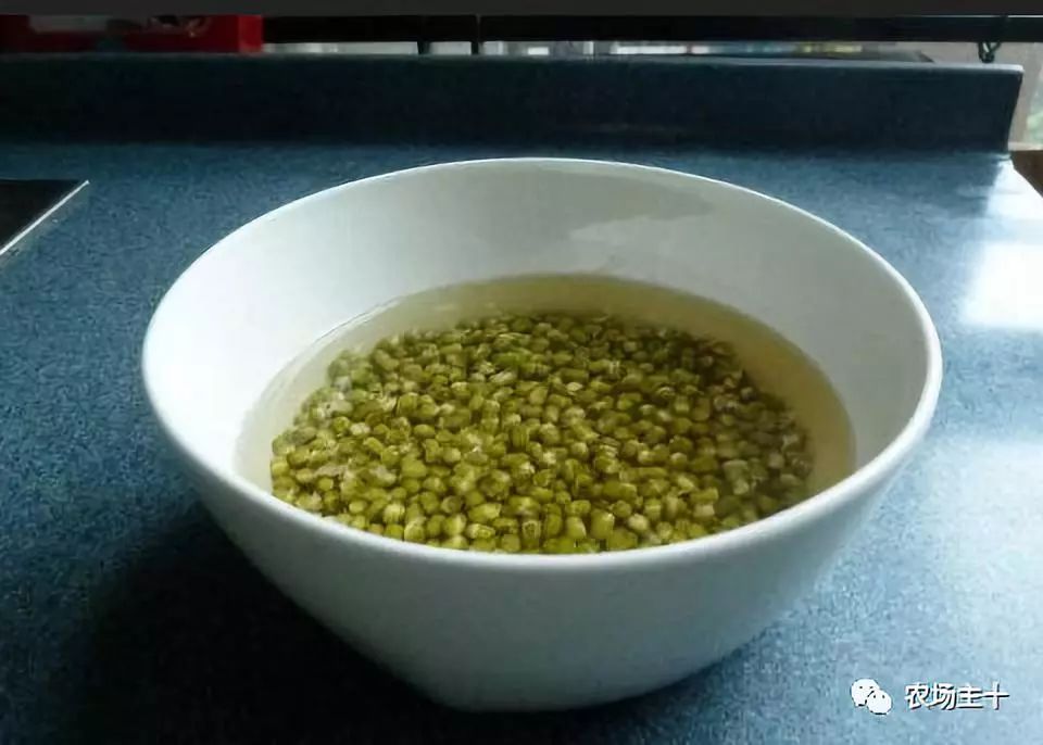 传统方法种菜也能致富的方法,纸上种菜怎么赚钱