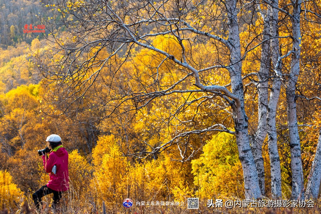 那山那水那滋味,那山那水那份爱