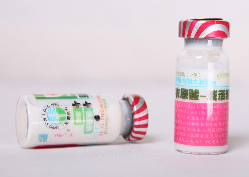 鸡传染性鼻炎的预防和治疗,鸡传染性鼻炎和感冒的区别