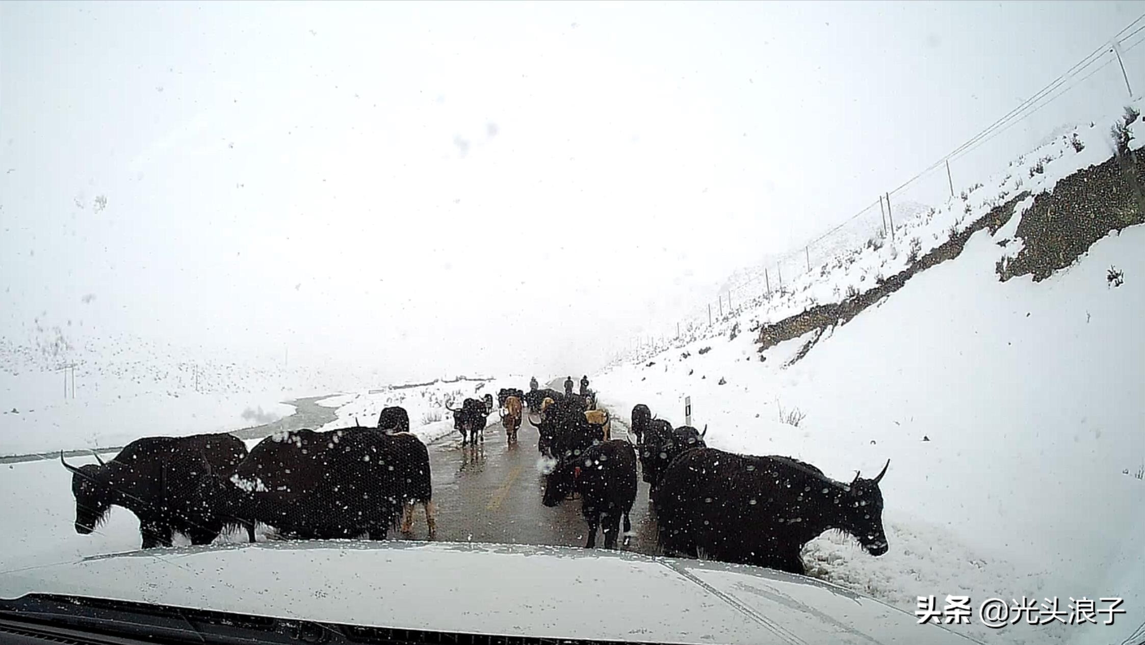 川藏318最危险的路段,川藏线318最容易落石的时间段