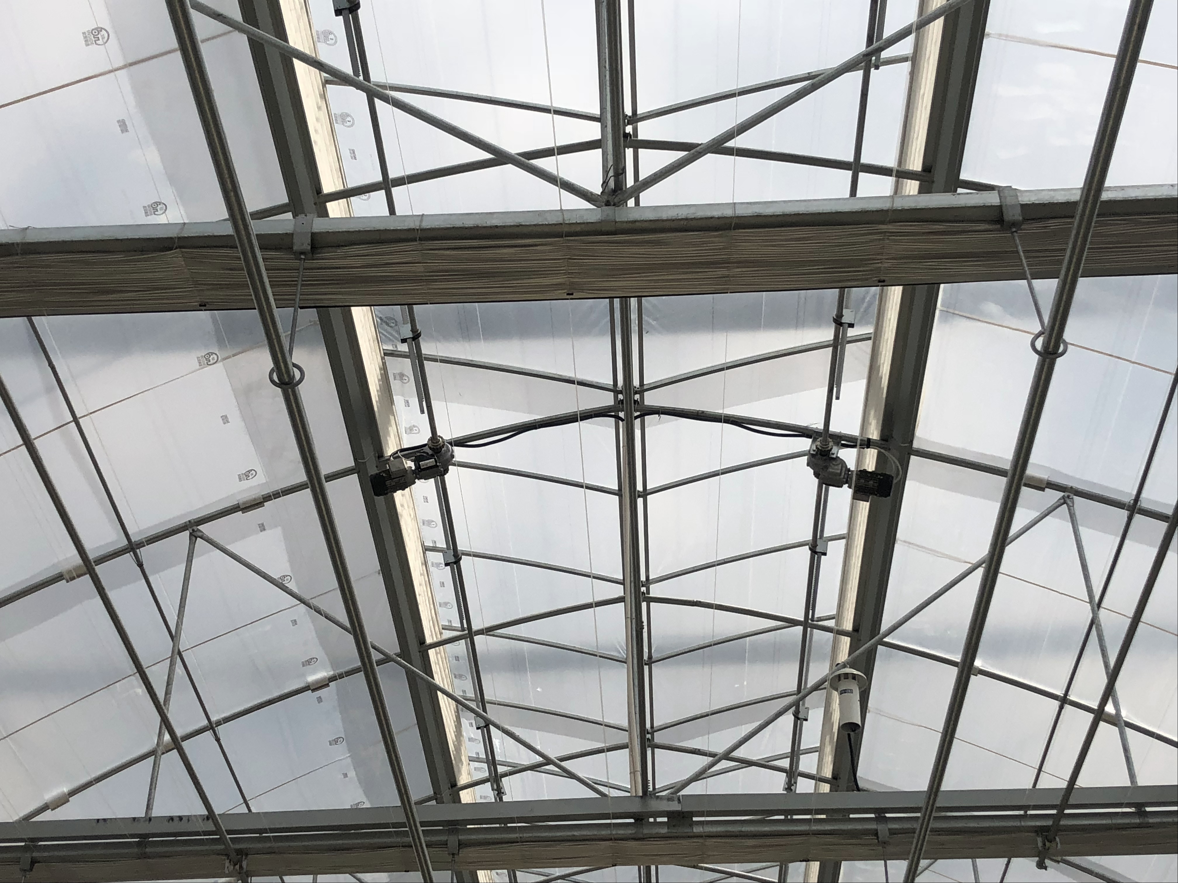 温室采用什么分区好,温室布局的基本要求是什么