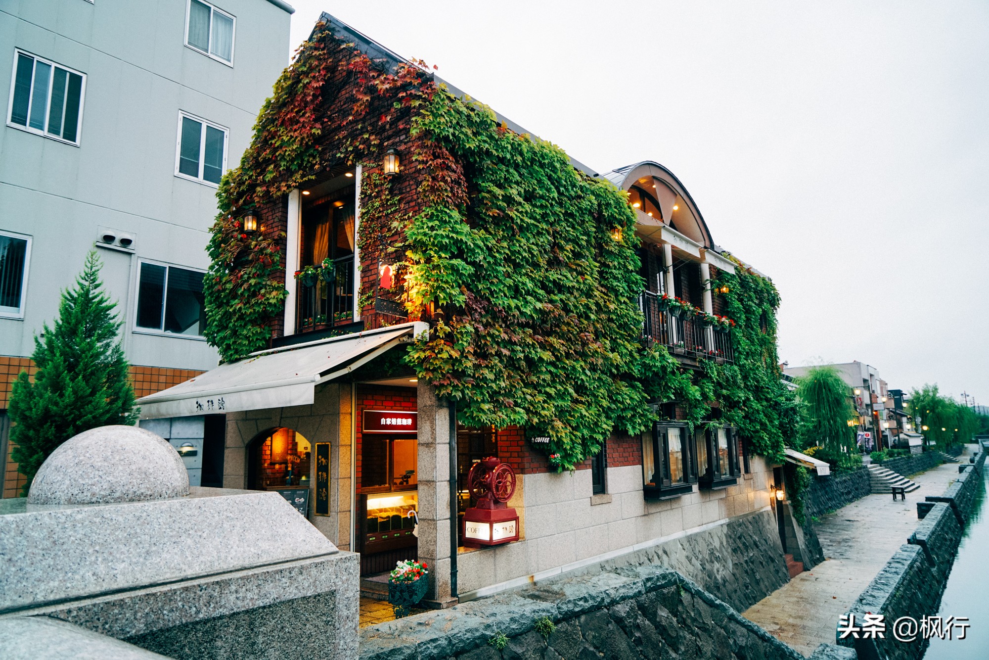 做意式咖啡深度烘焙咖啡豆推荐,日式烘焙咖啡豆推荐