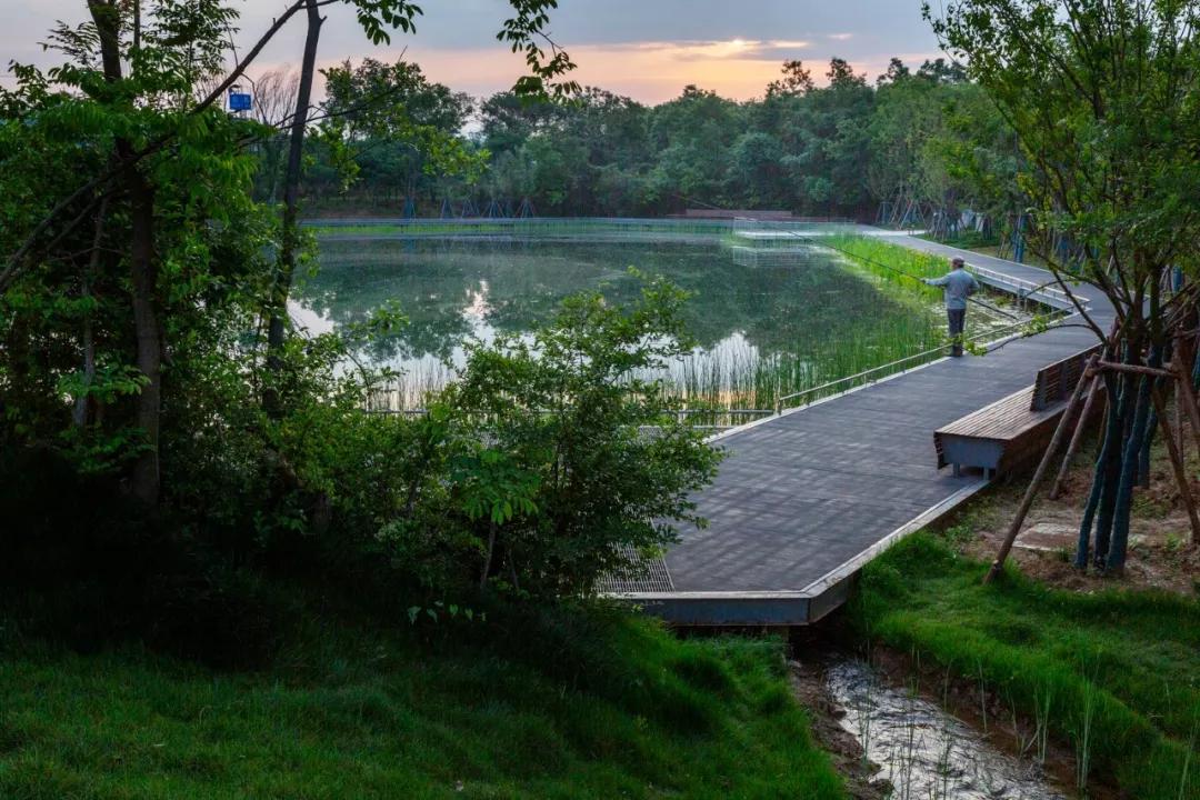 矿坑改造最美公园,矿坑改造湿地公园视频