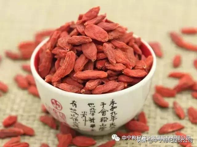 中药文化精粹,东方神草枸杞子