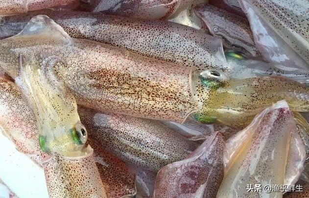 全国十大海鲜排名,中国海鲜十大产地排名最新