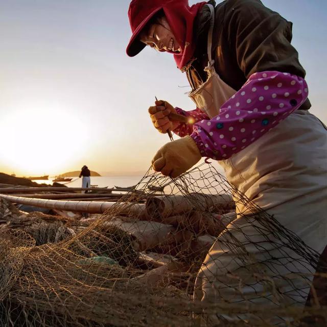 浙江宁波小众景点,浙江省宁波市黄金海岸