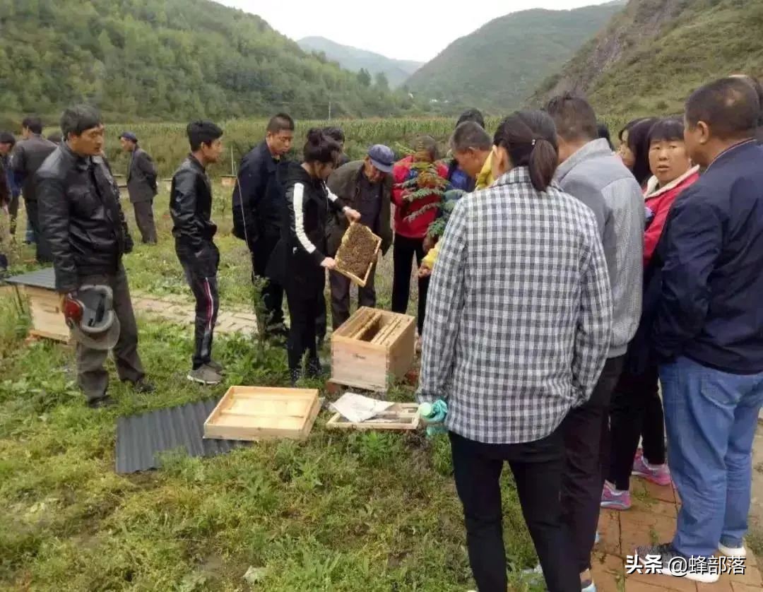 涔℃潙鎸叴铚滆渹鍙戝睍,铚滆渹鍔╁姏涔℃潙鎸叴