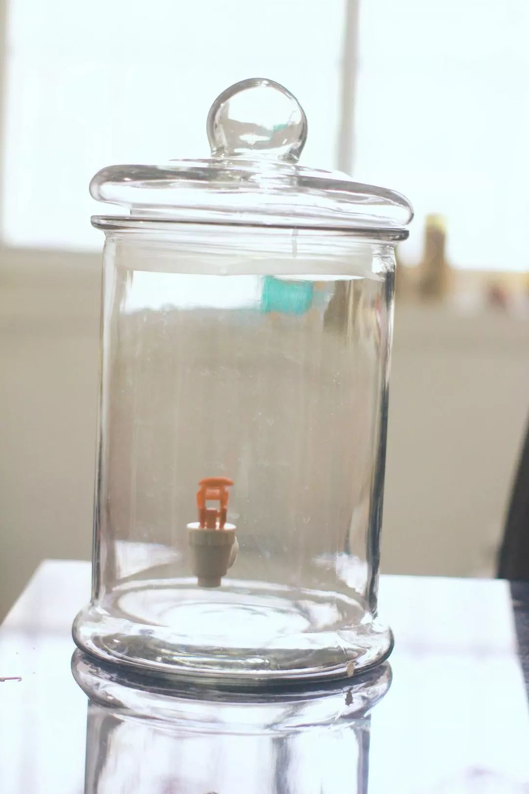 一个人也要好好吃饭：青番茄酵素