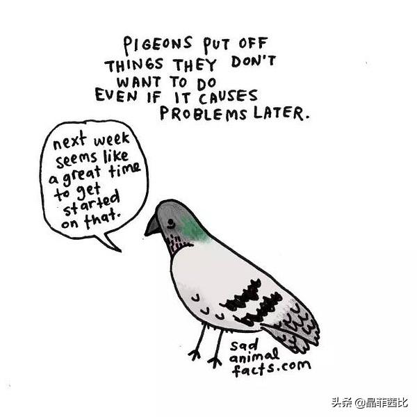 8个关于动物的冷知识,你不知道的二十条动物冷知识