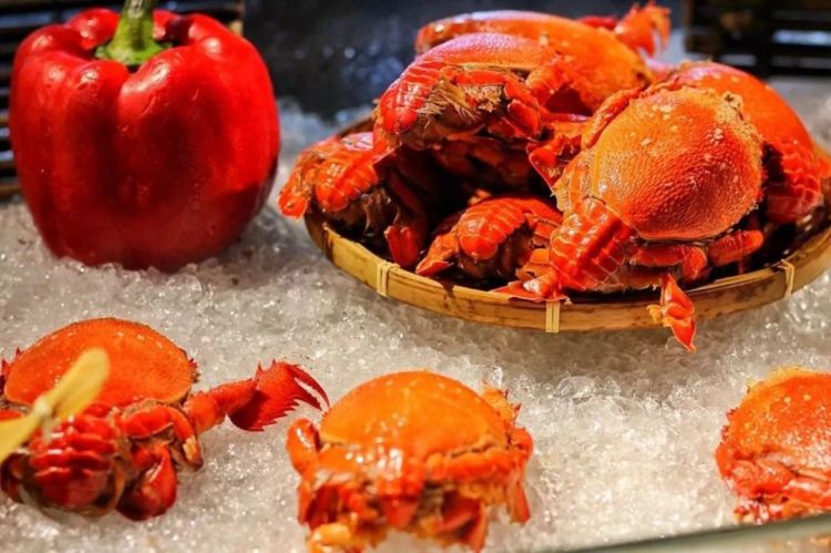 厦门日月谷温泉度假村吃饭,厦门日月谷温泉要带什么