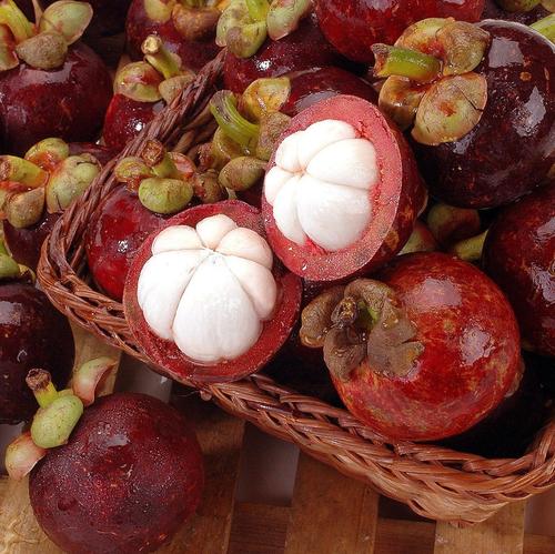 泰国山竹为什么是脆的,泰国山竹怎么挑选好的