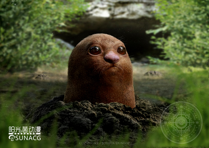 宠物小精灵哪个神奇宝贝最厉害,宠物小精灵里面稀有的神奇宝贝