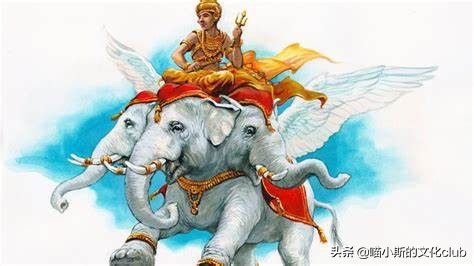 哈利波特三头犬怎么不击败三头犬,哈利波特里的三头犬长什么样