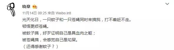 星艳的作品,星艳创作原声