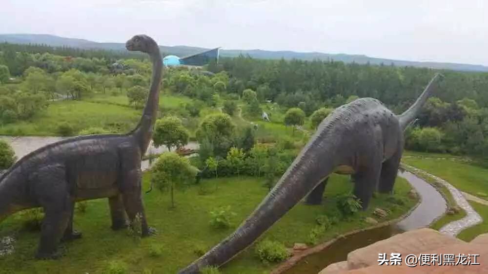 30绉掑甫浣犱簡瑙ｉ粦榫欐睙,甯︿綘浜嗚В榛戦緳姹熷悇涓競