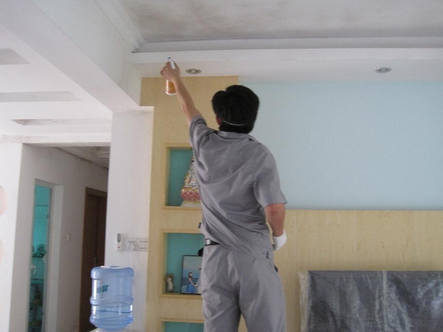 房间内墙发霉怎么办,房间墙壁发霉怎么去除