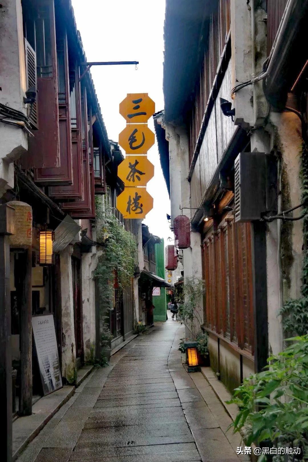 苏州除了拙政园还有哪个园林最好,苏州哪个园林最值得游玩