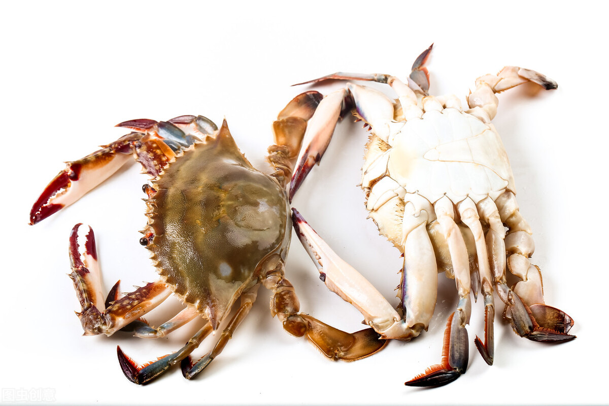 现在梭子蟹怎么挑选,梭子蟹怎么挑选才好