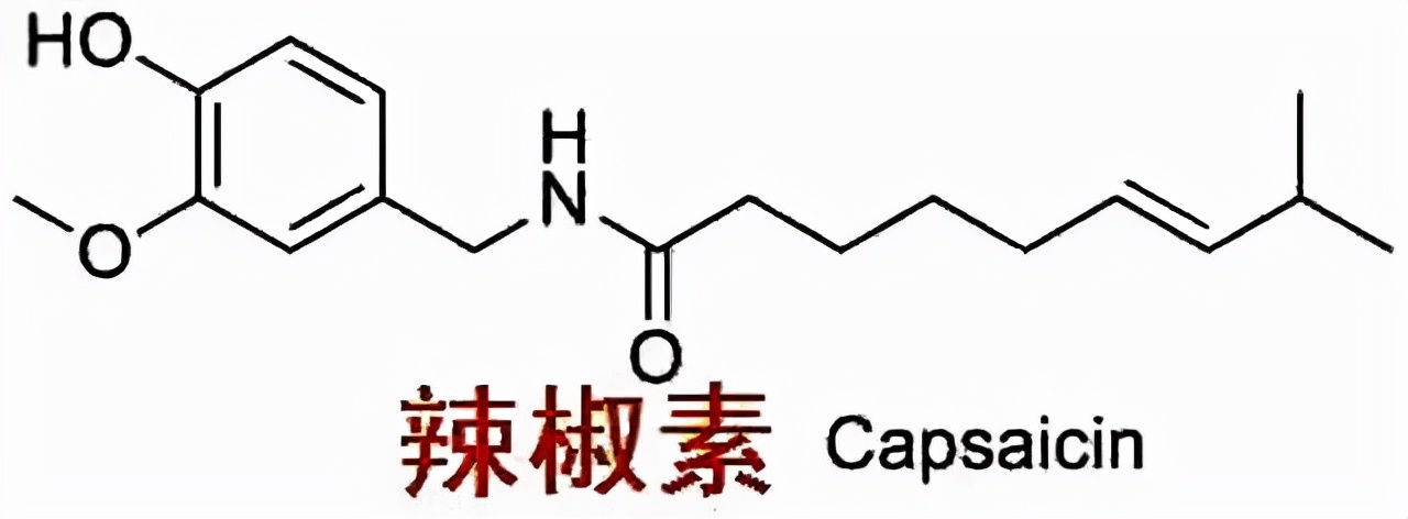 超级工业辣椒,工业辣椒完美收官