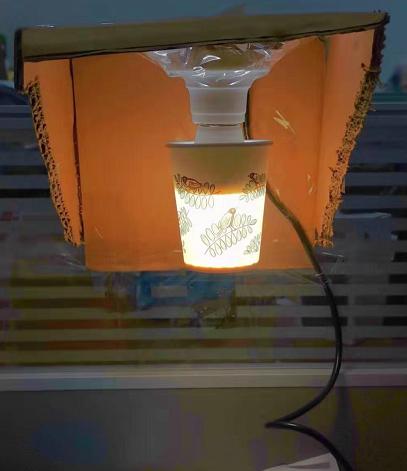 理工直男和理工直女的恋爱,理工直男表白的正确打开方式