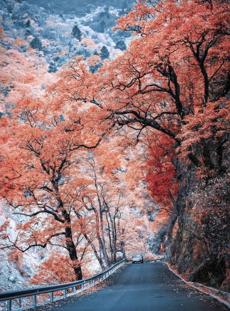 2019军运会开幕式完整回放,军运会精彩时刻