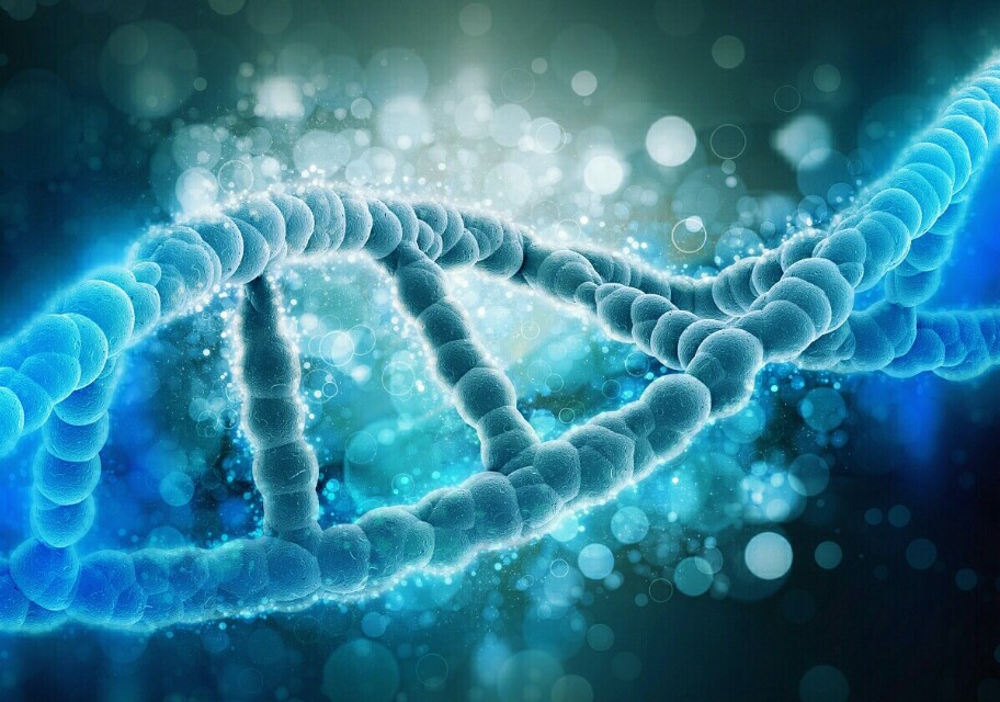 化疗失败改用靶向会有效吗,靶向治疗和化疗哪个更有效