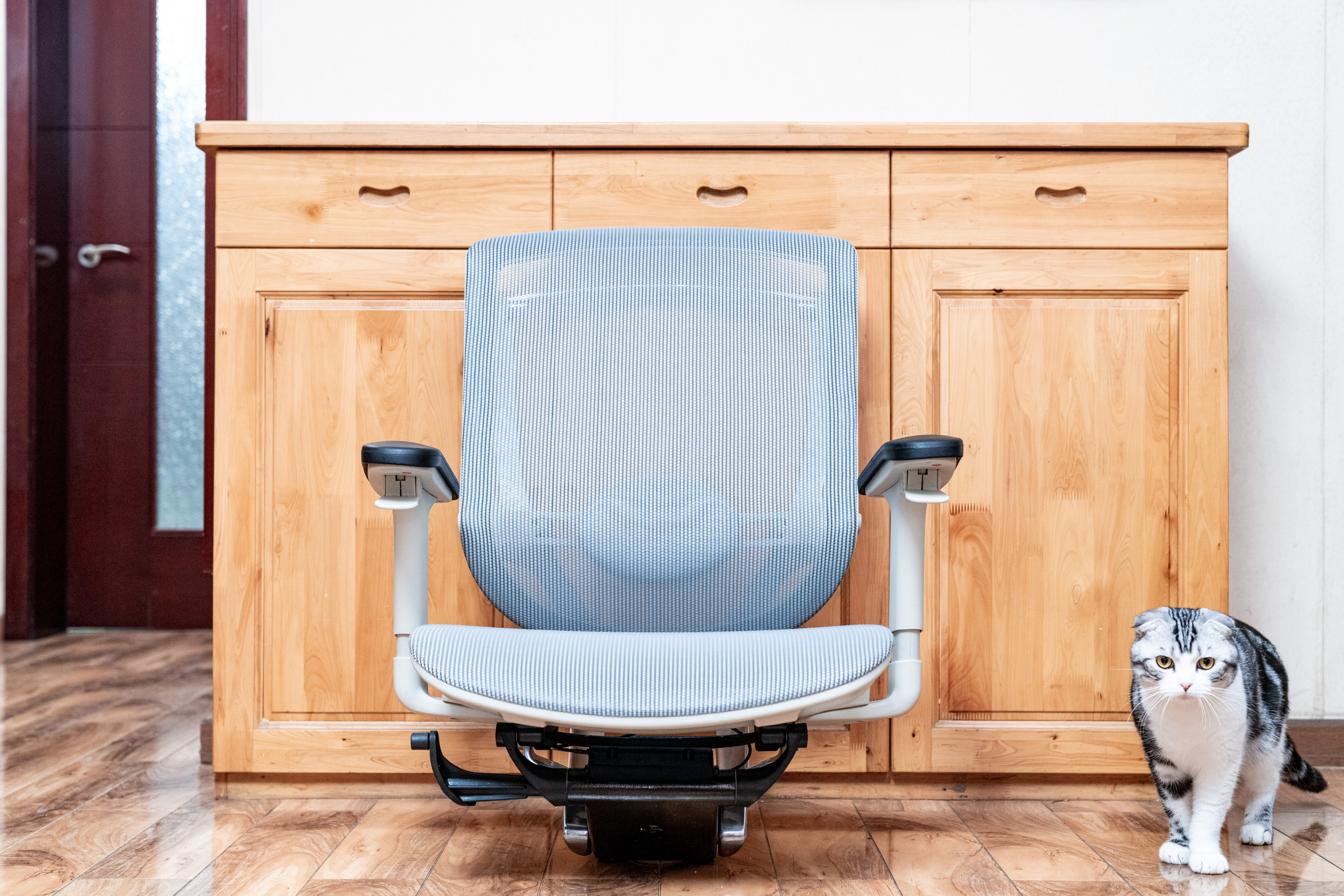 2023人体工学椅避坑指南,人体工学椅怎样选