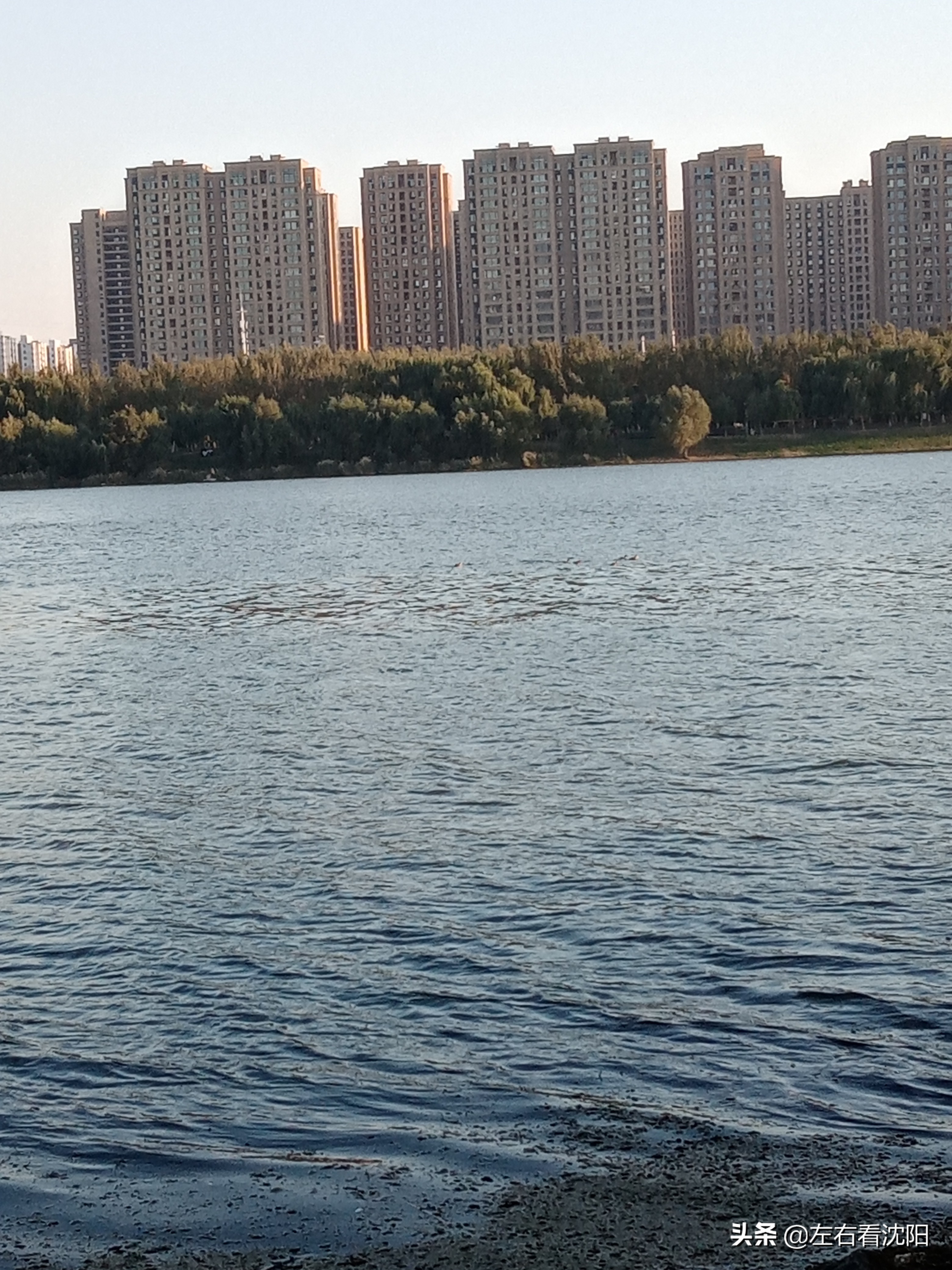 沈阳五里河公园攻略,沈阳五里河公园现在开吗