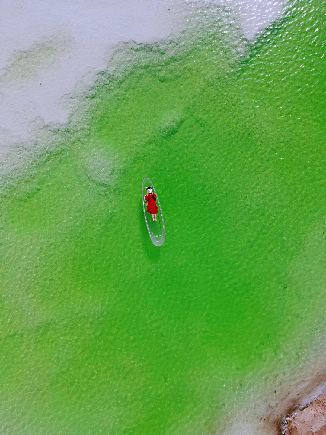 十年后农村女孩逆袭成为女总,一个农村姑娘的十年从乡村到城市