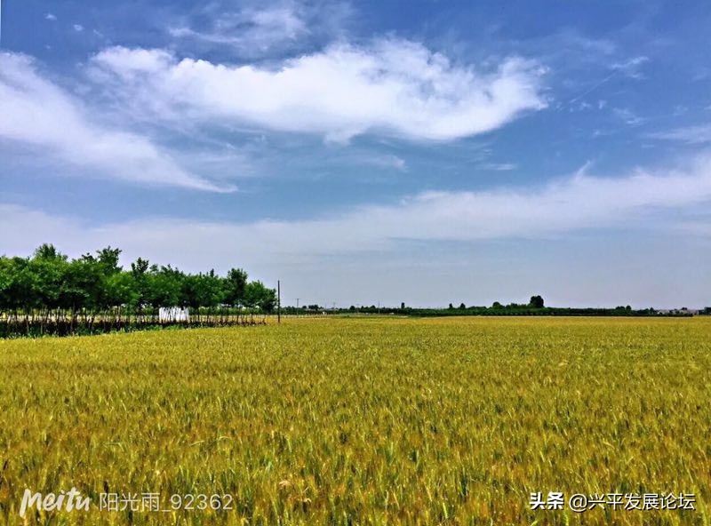 回忆过去珍惜现在展望未来,回忆过去珍惜现在的句子