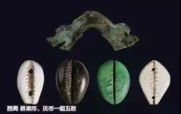 海边贝壳首饰,小众首饰戒指贝壳