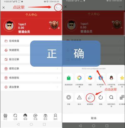 遇到电信网络诈骗该怎么解决,正在遭遇电信网络诈骗怎么办
