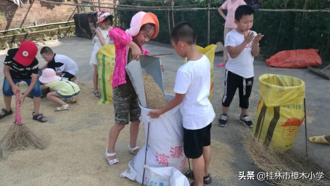 「红色蓓蕾荣誉榜」七星区新时代好少年——宋玥霖