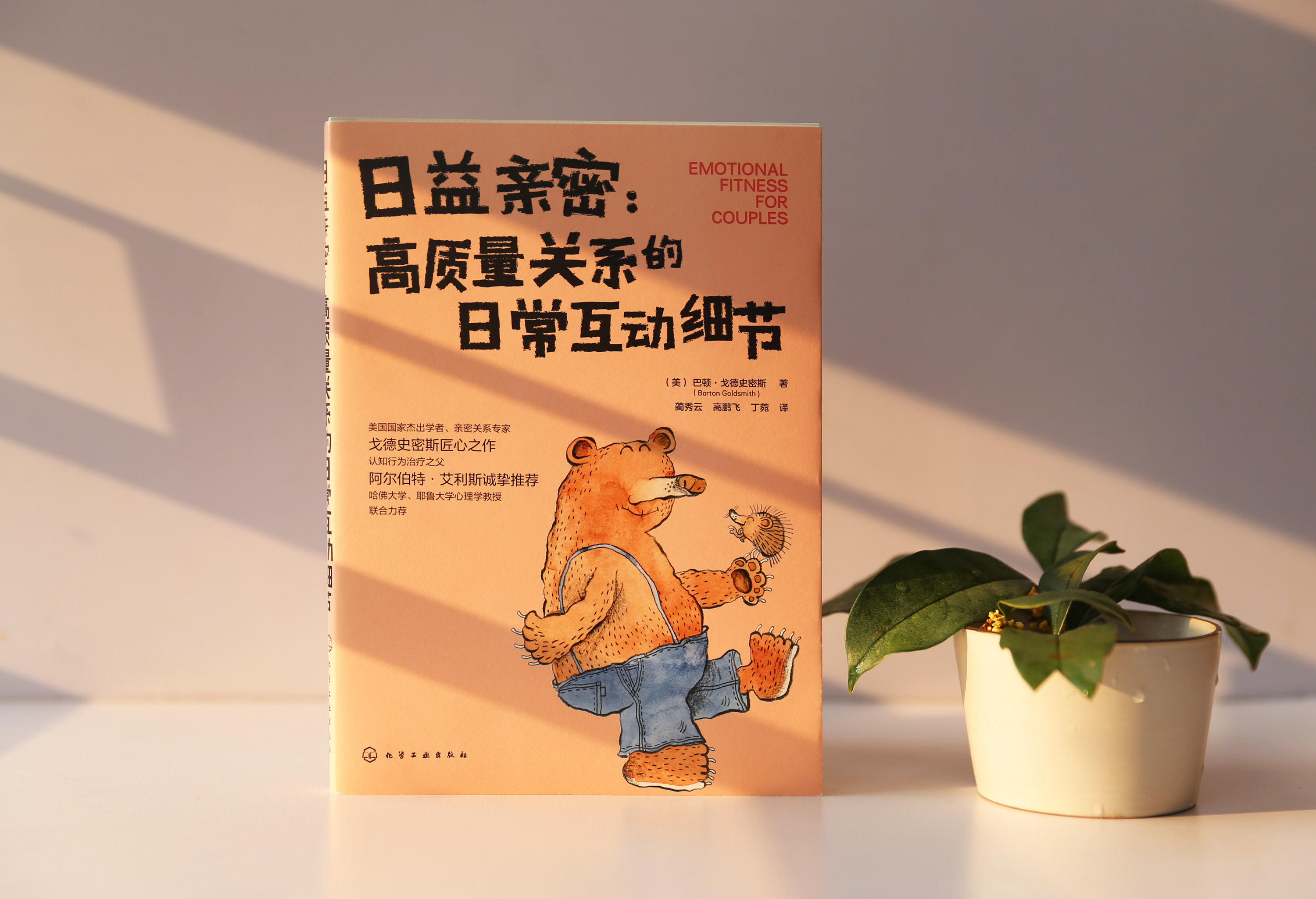 和对象吵架了怎么解决幽默,情侣之间怎么解决吵架问题