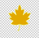 图片格式png8和png24,png和pdf格式