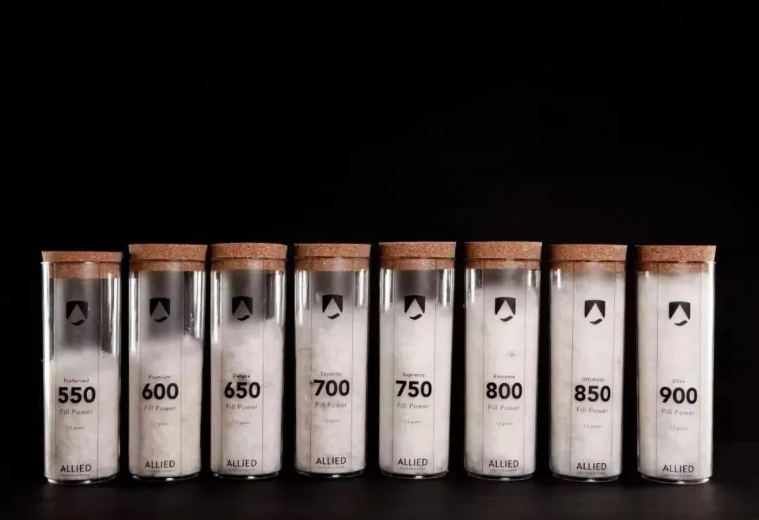 加拿大鹅既要风度又要温度,加拿大鹅冬天怎么保暖的