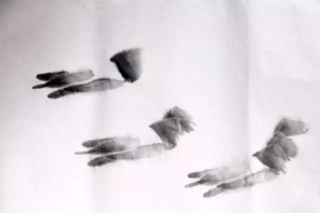 墨龙画法教程简单毛笔,河虾简笔画教程