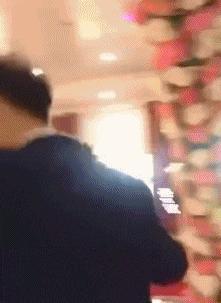 这只鹦鹉一直以为他是一只猴,所以每天都在重复做这个动作