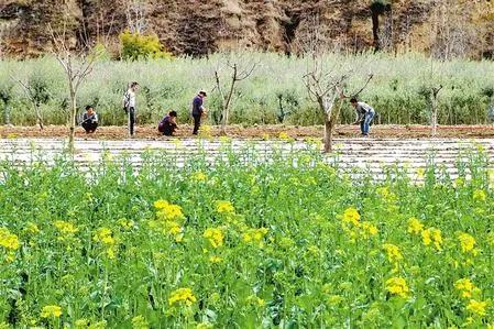 脱贫攻坚书写乡村振兴新画卷,书写新时代奋斗征程新篇章