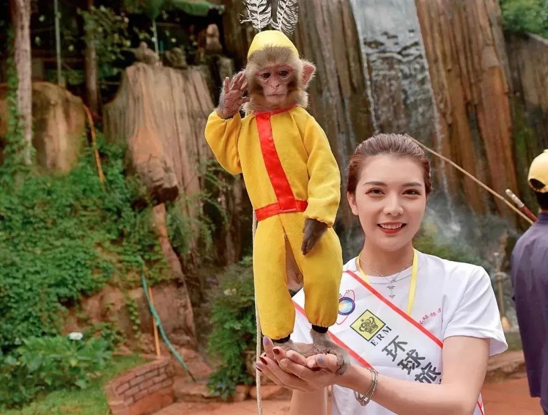 无法离昆,就地过年!昆明亲子游推荐路线重磅来袭!花样过牛年