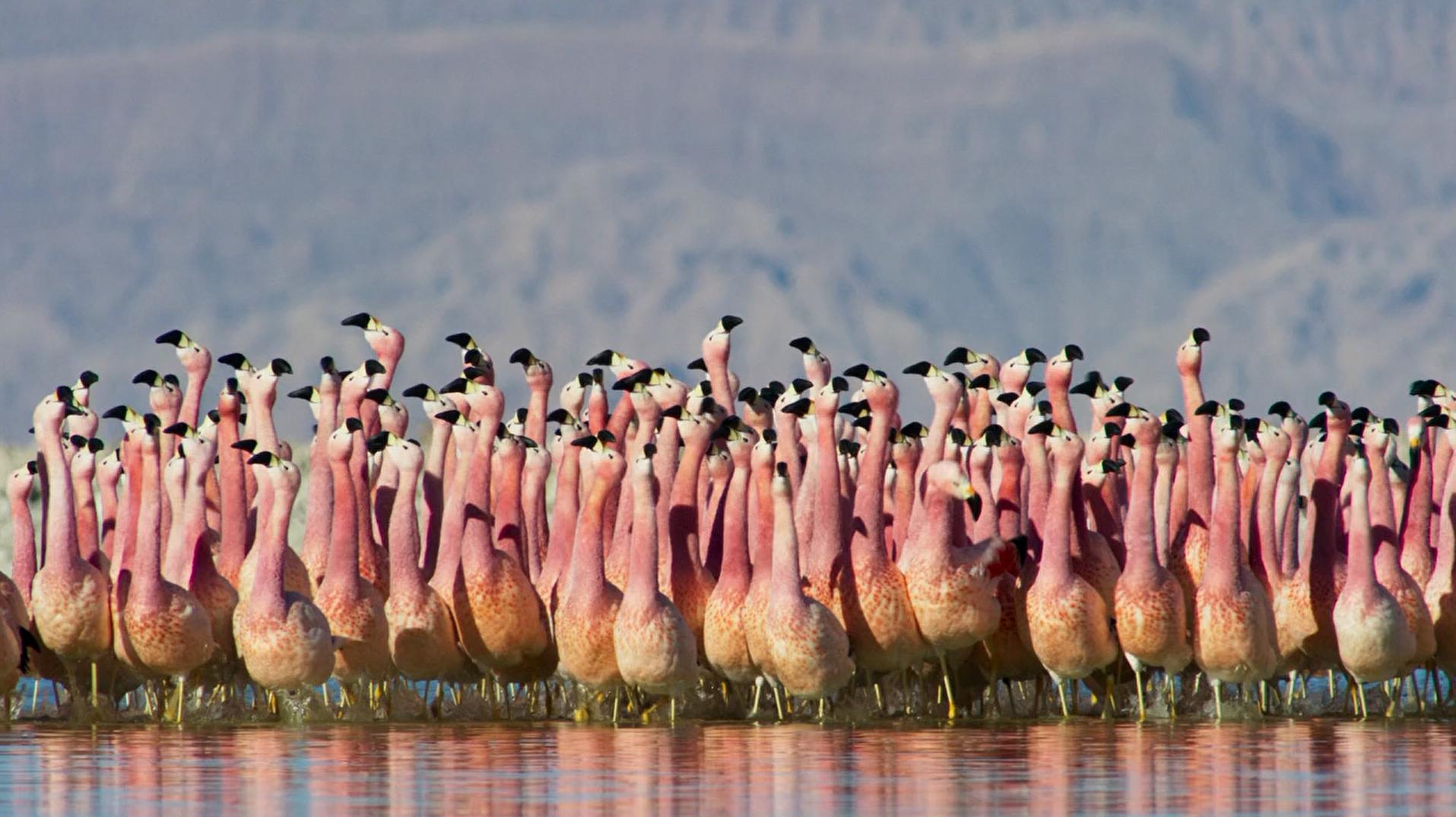 投影机家用两万,两万元的投影