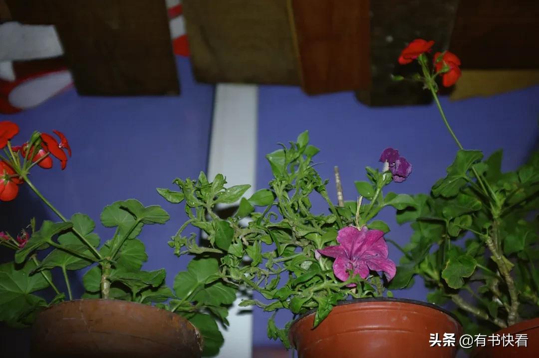 十年后，我住了最便宜的房子：2元涨到5元，依旧有女人无家可归