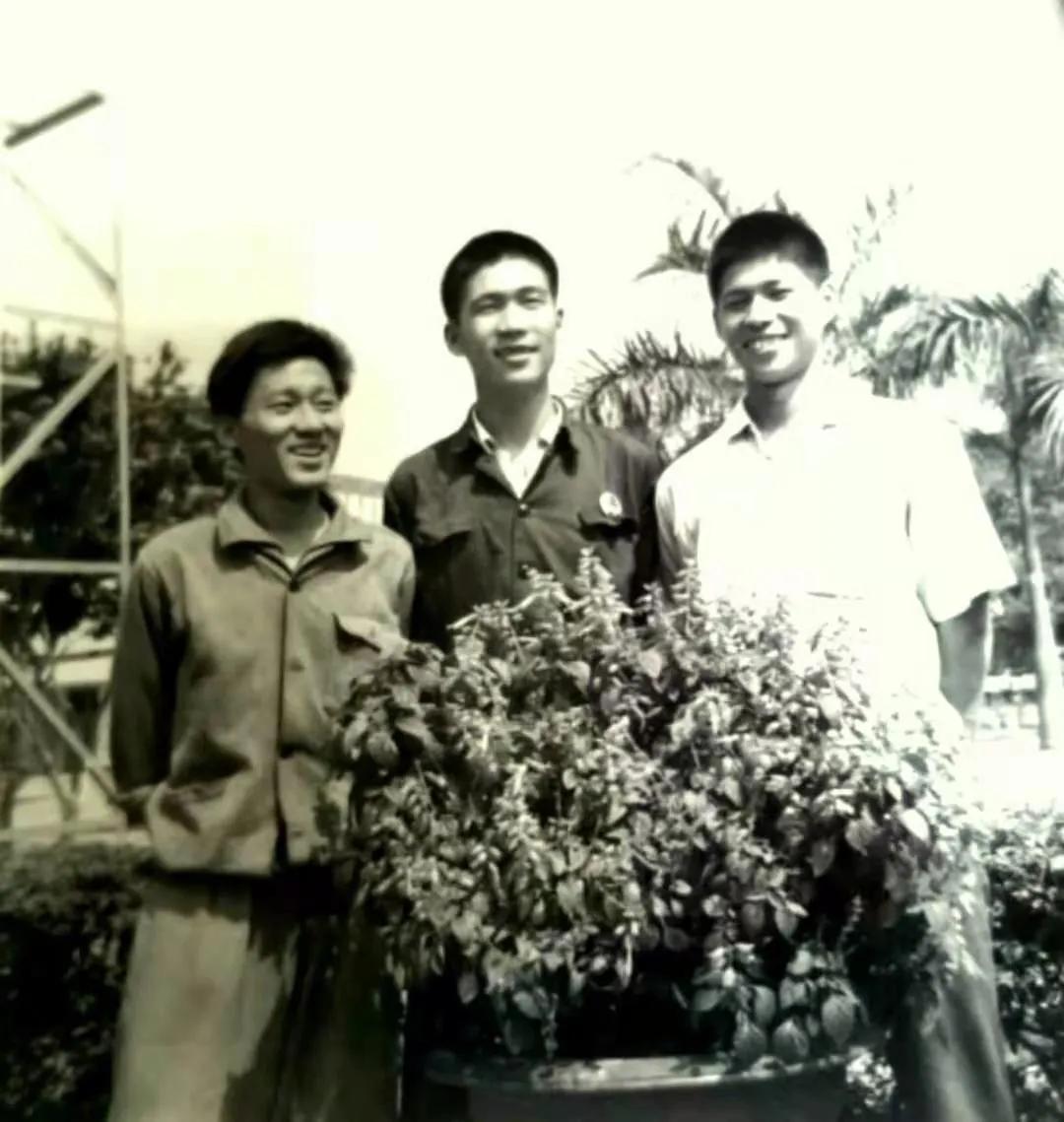 闃茬柅鎶楃柅鎽勫奖浣滃搧,鎶楃柅鎽勫奖