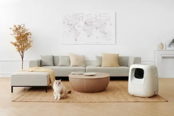 锅圈、文和友、零食有鸣等20品牌融资；华尔街英语破产｜创投周报